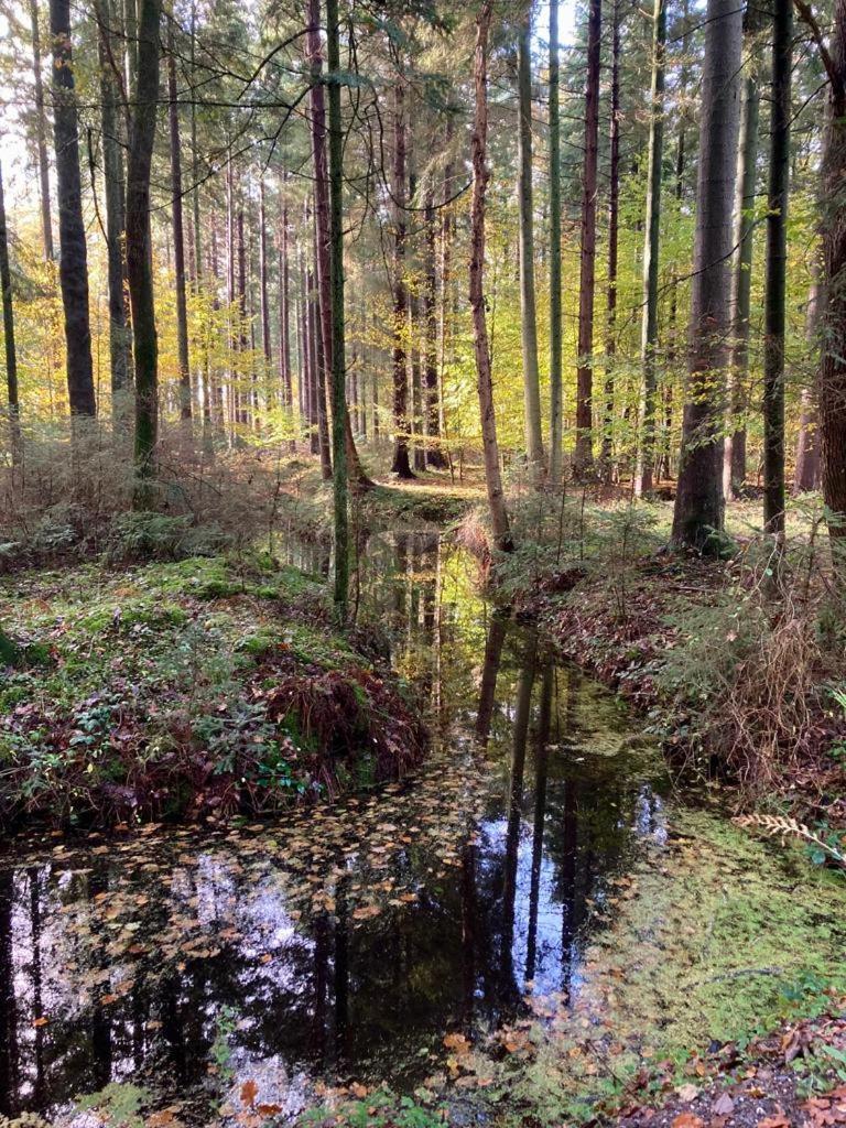 Apartment Vier Jahreszeiten Pilsum Krummhörn Esterno foto